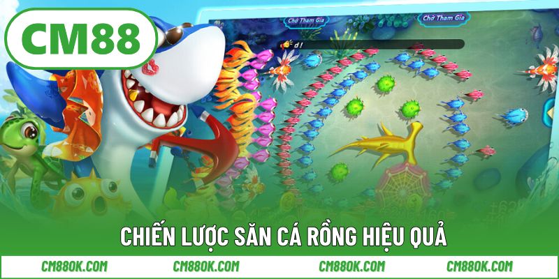 Chiến lược săn cá rồng hiệu quả