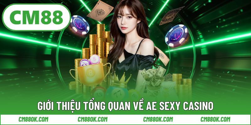 Giới thiệu tổng quan về AE Sexy Casino