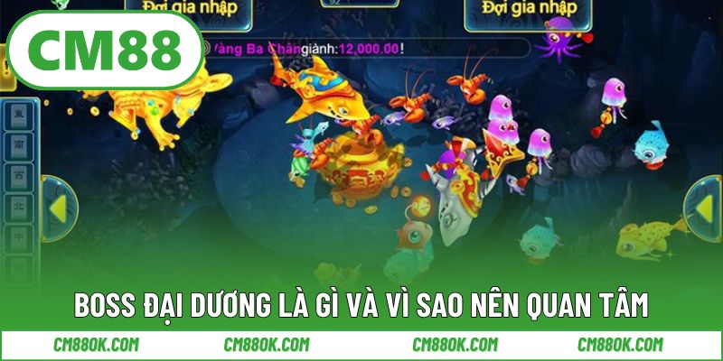 Boss đại dương là gì và vì sao anh em nên quan tâm