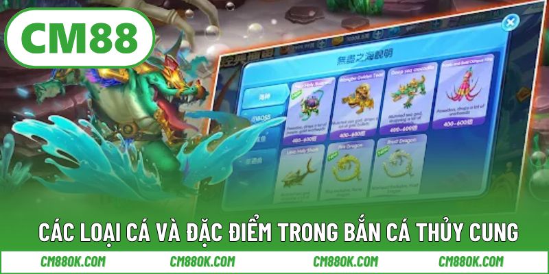 Các loại cá và đặc điểm trong bắn cá thủy cung