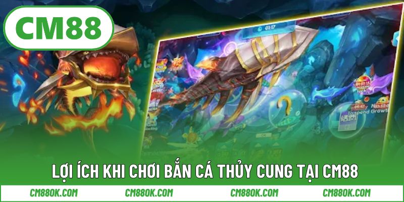 Lợi ích khi chơi bắn cá thủy cung tại CM88