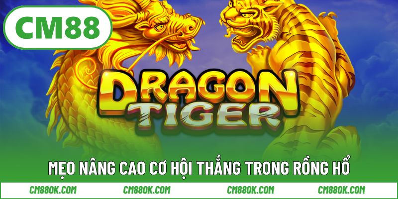 Mẹo nâng cao cơ hội thắng trong Rồng Hổ