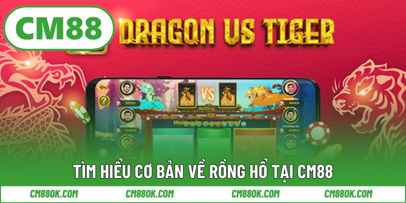 Tìm hiểu cơ bản về Rồng Hổ tại CM88